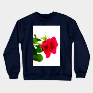 Red Rose For You Crewneck Sweatshirt